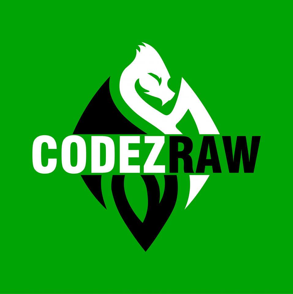 CodeZraw Logo